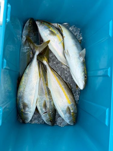 相模湾