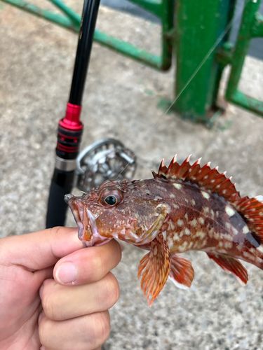 海辺つり公園