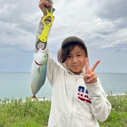 ワカシ