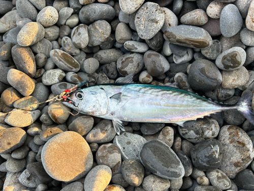 煙樹ヶ浜
