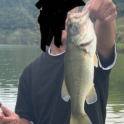 ブラックバス