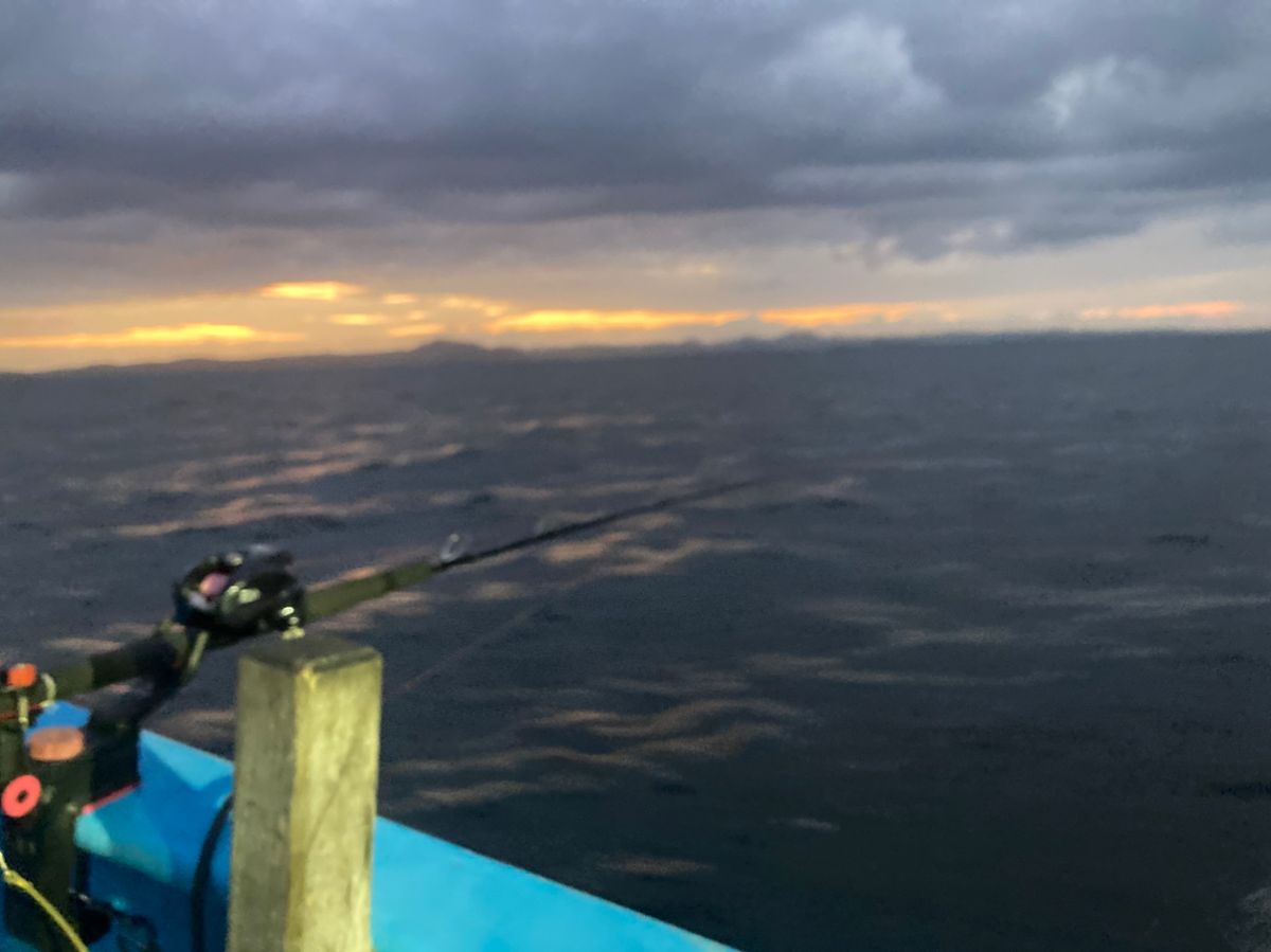 アングラー99984426うっかりカサゴさんの釣果 1枚目の画像