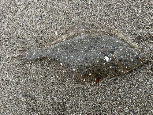 県北サーフ