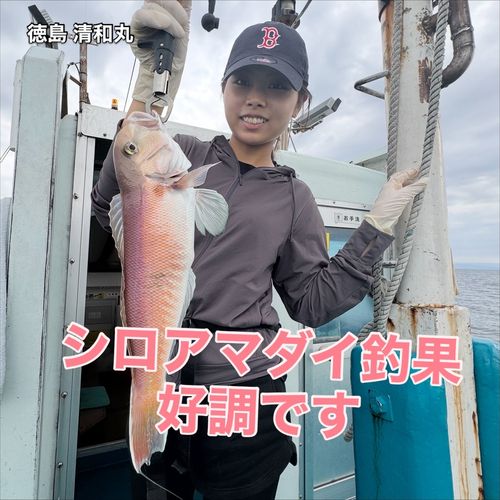 シロアマダイの釣果