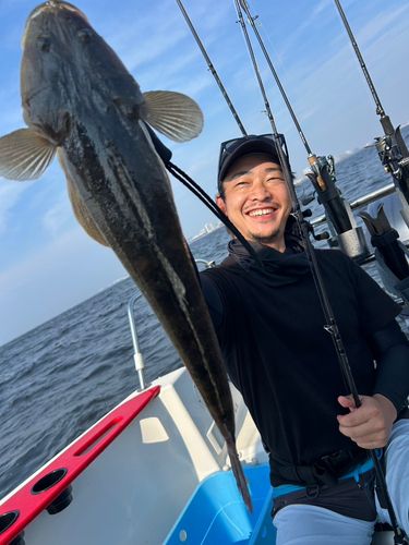 マゴチの釣果