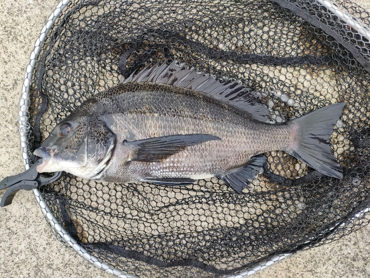 AbuGarcia ソルティーステージ・KR-X・ベイトフィネスカスタム SBFC