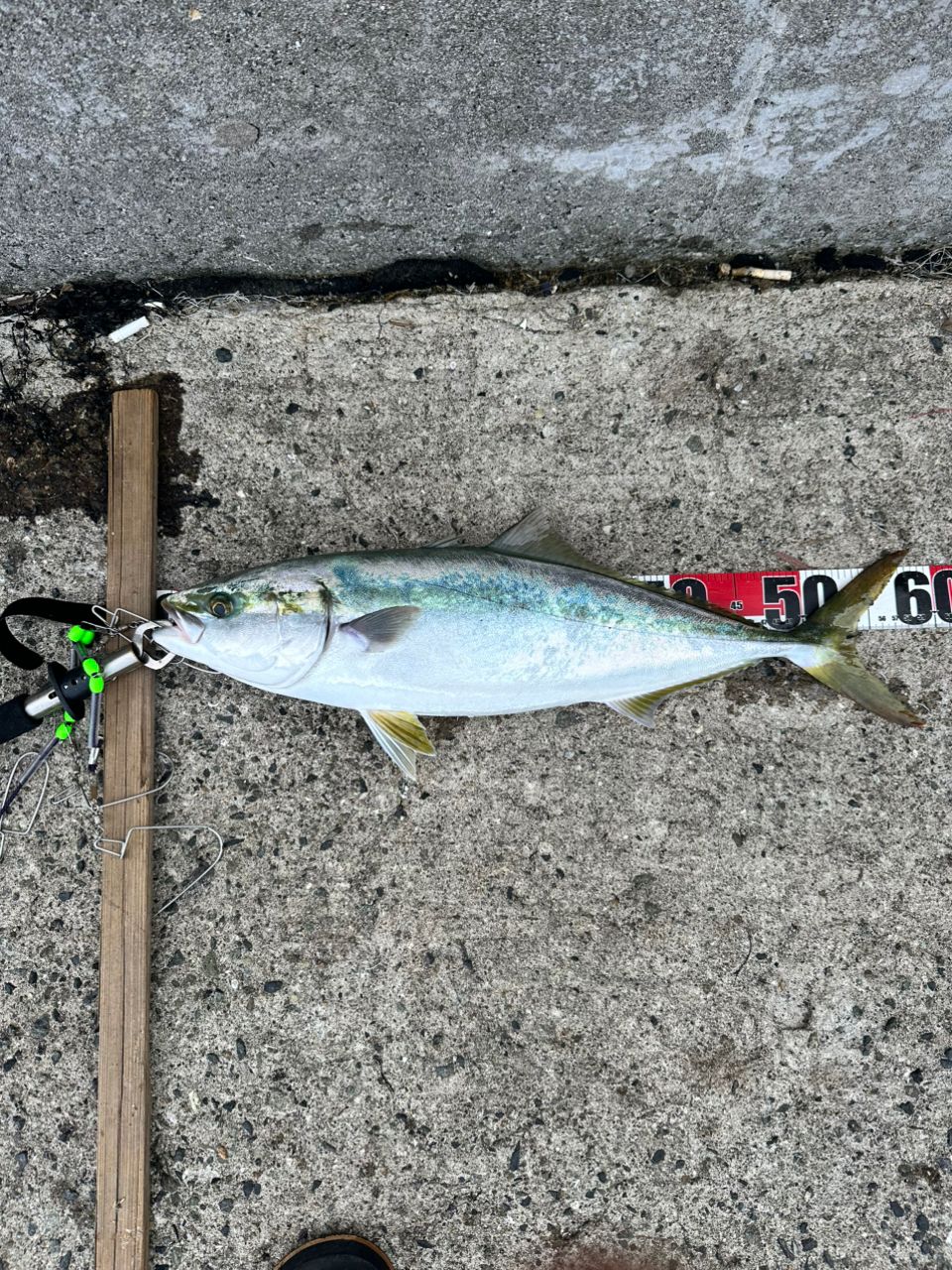 DAIWA - 【購入者確定】ショアスパルタンスタンダード96MH 美品】 ダイワ ショアスパルタン スタンダード 96M - メルカリ