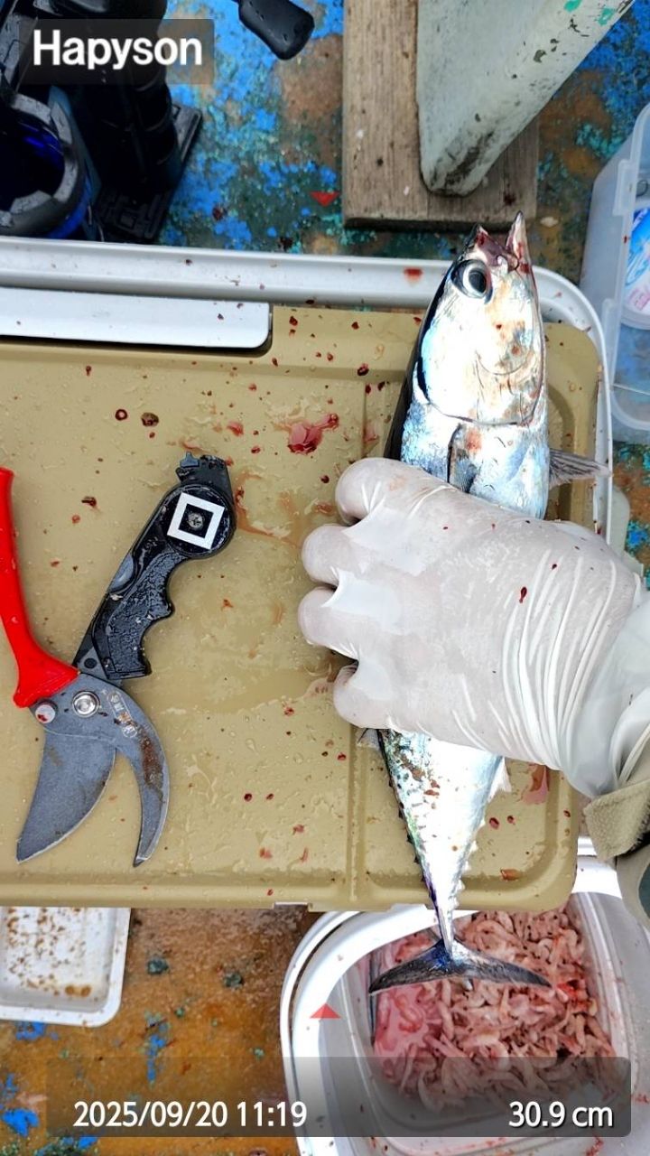 ゆーなすさんの釣果 1枚目の画像