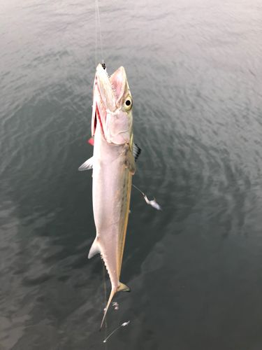 長崎湾
