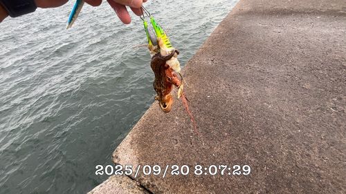 木更津沖
