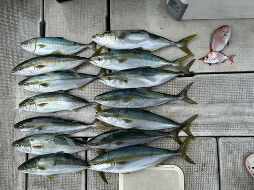 大阪湾