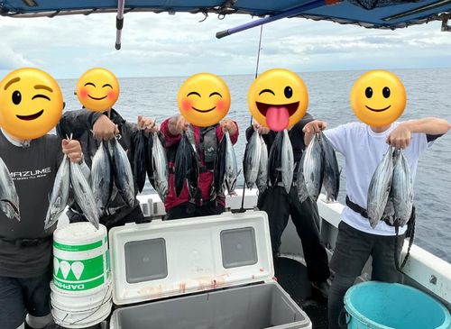 カツオの釣果