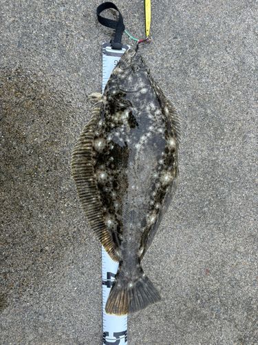 吉浜湾