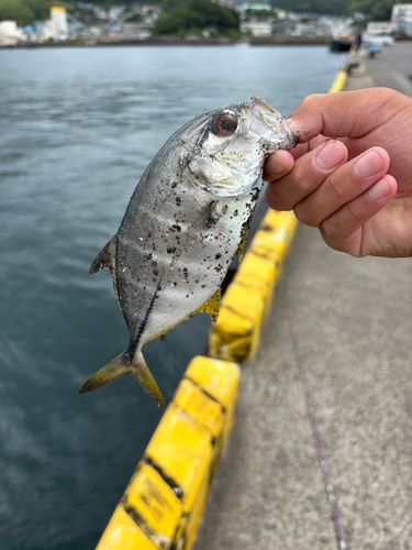 長崎湾