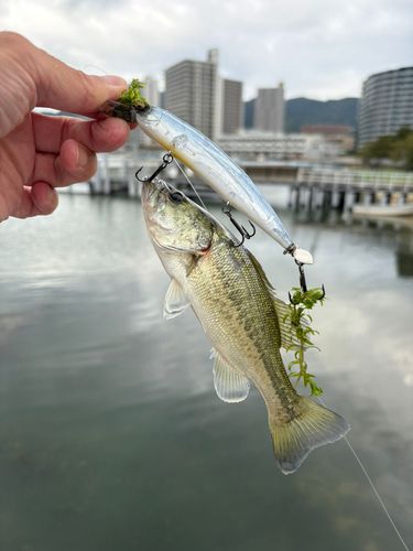 柳が崎湖畔公園