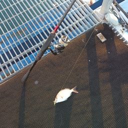 タイ