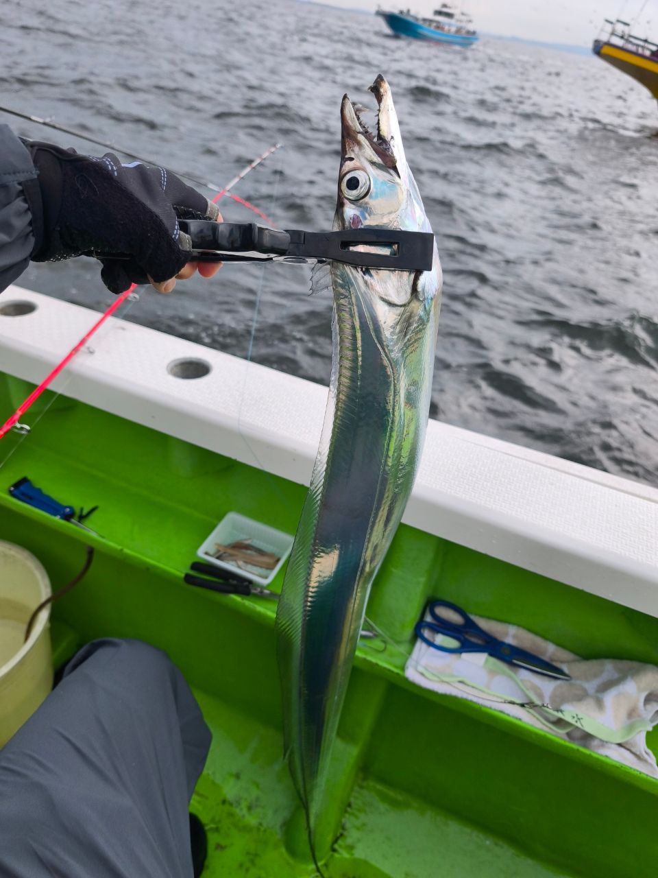 釣竿ダイワリーディンXL タチウオ195 プロマリン バトルスティック180M 釣竿ダイワリーディンXL タチウオ195 プロマリン バトル