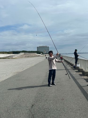 マハゼの釣果