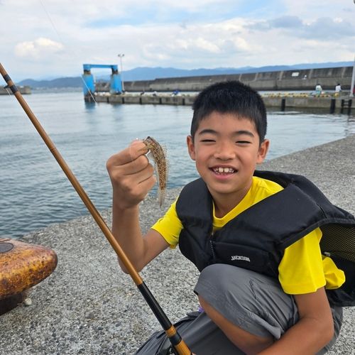 田ノ浦漁港