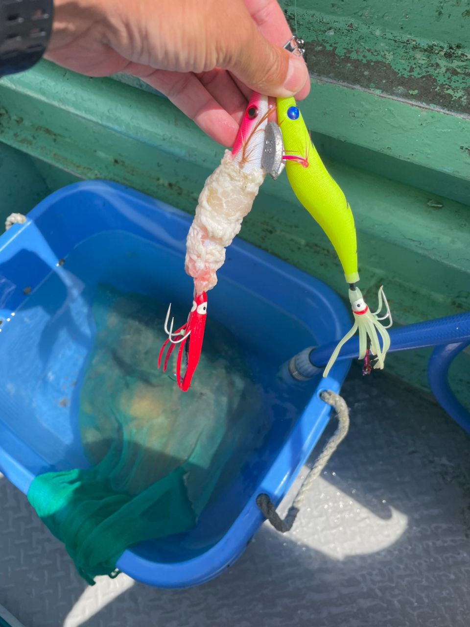 コナツ2015さんの釣果 3枚目の画像