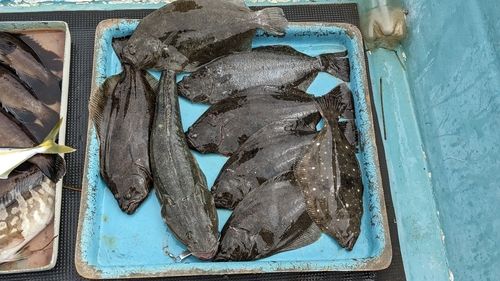表浜名湖