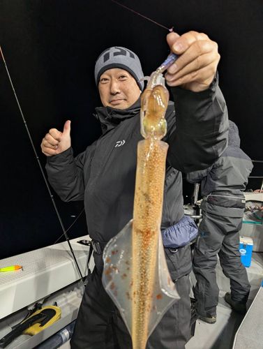 ヤリイカの釣果