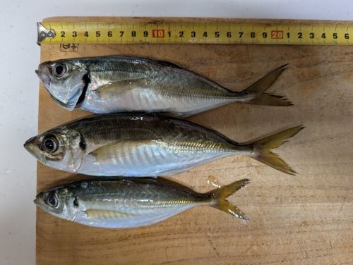 本牧海づり施設