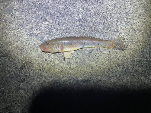 石狩湾新港