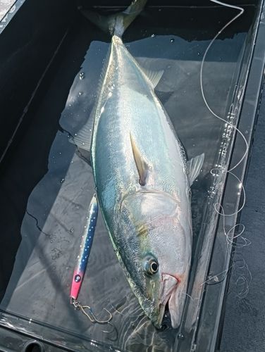 能取湖
