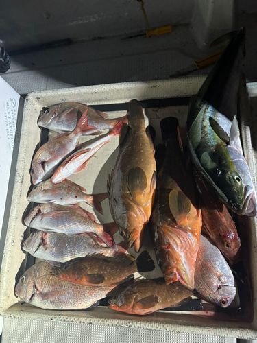 長浜港（伊予）