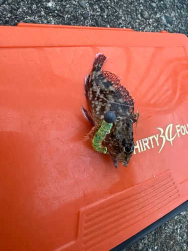 浜名湖
