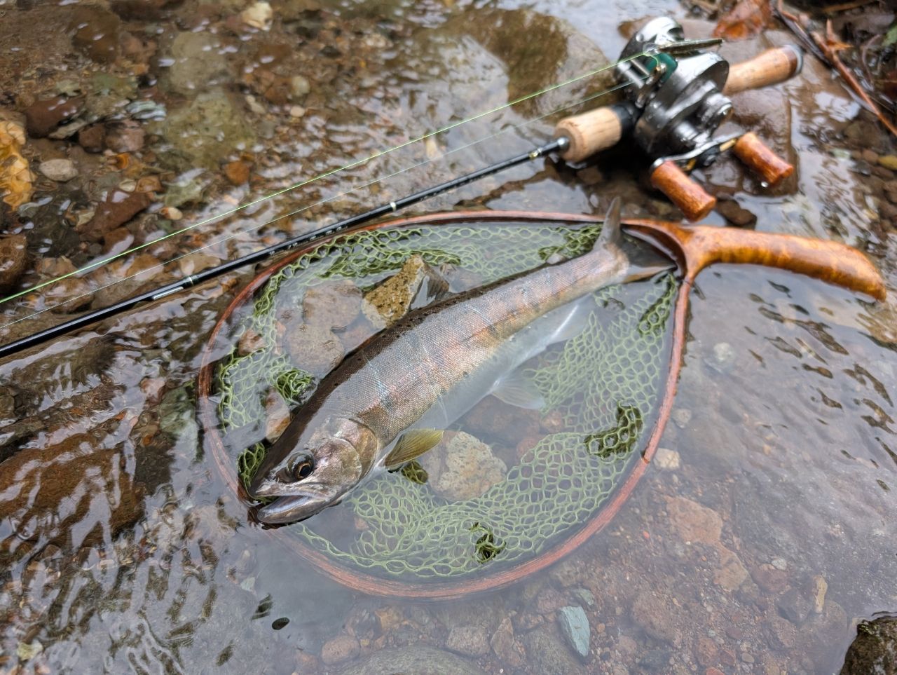 TENRYU レイズ RZ4102B-ULの最安値・インプレ・釣果 | 本音の口コミが