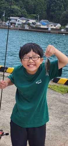浦神湾