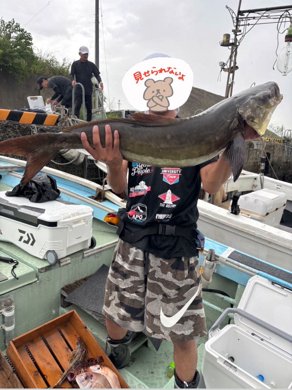 スギ