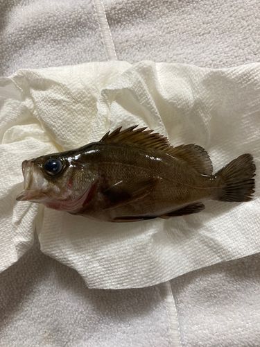 飯岡港