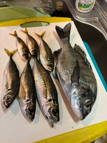 小名浜港アクアマリンふくしま周辺