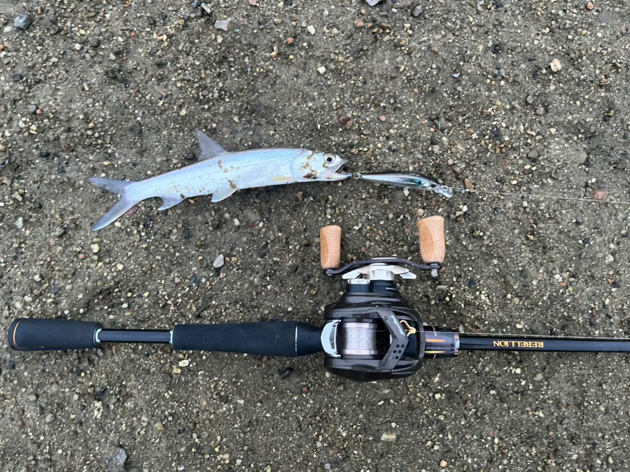 DAIWA 20リベリオン（センターカット2ピース スピニングモデル
