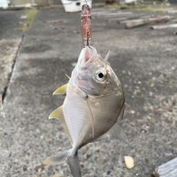 メッキ
