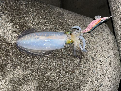 明石海峡