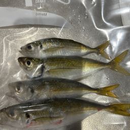 アジ