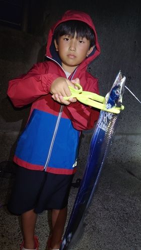 洲本港