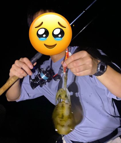 播磨灘