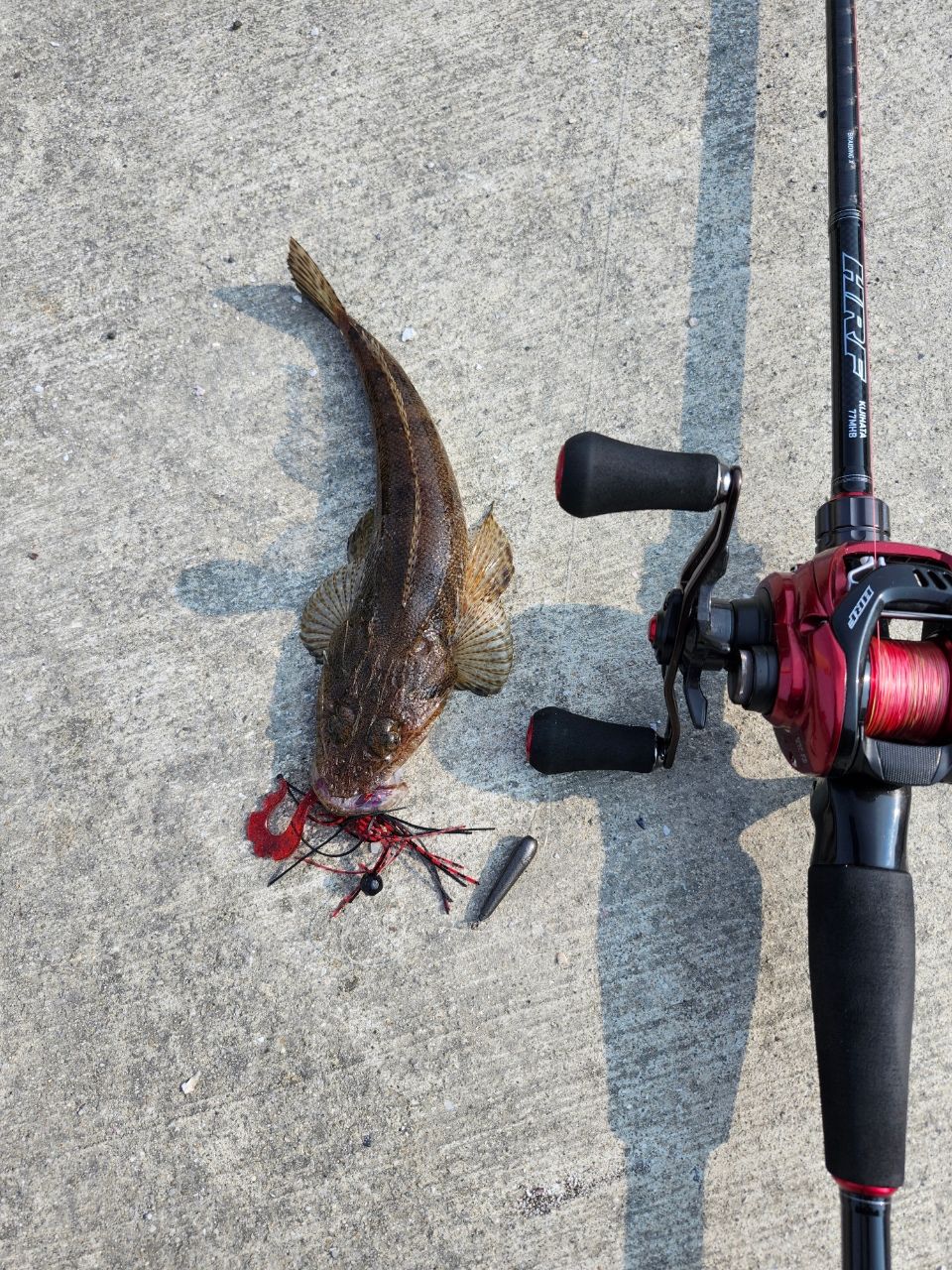 DAIWA - 20 HRF PEスペシャル 8.1L-TW Amazon | ダイワ(DAIWA) ベイトリール 20 HRF PE SPECIAL 8.1L
