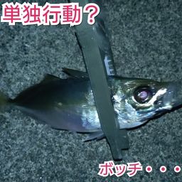 アジ