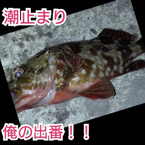 臼杵湾