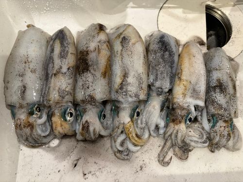 知多湾