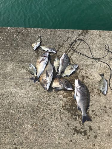 扇ヶ浜