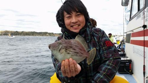 カワハギの釣果
