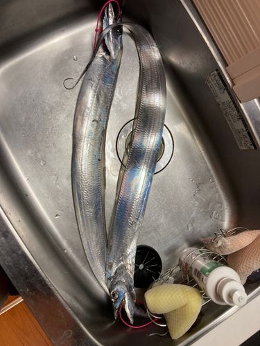 東京湾（アクアライン〜富津）