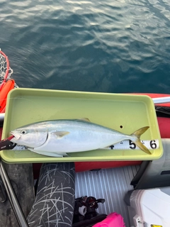 釣果